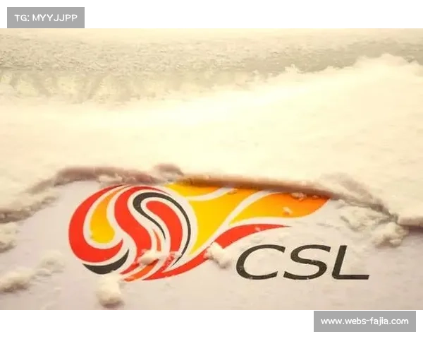 中超转会市场理性化，高溢价引援现象减少